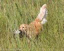 20170806-jhl-0494