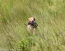 20170806-jhl-0518