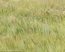 20170806-jhl-0565
