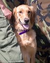 20170806-jhl-0589