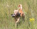20170806-jhl-0598