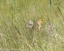 20170806-jhl-0615