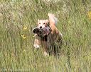 20170806-jhl-0639