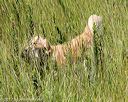 20170806-jhl-0642