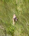 20170806-jhl-0670