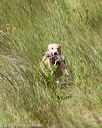 20170806-jhl-0673