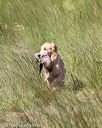 20170806-jhl-0674