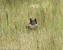 20170806-jhl-0687