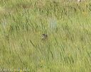 20170806-jhl-0711