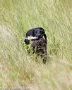 20170806-jhl-0717
