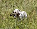 20170806-jhl-0742