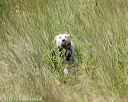 20170806-jhl-0773
