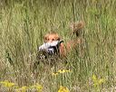 20170806-jhl-0790