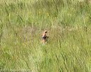20170806-jhl-0815