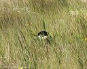 20170806-jhl-0845