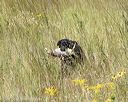 20170806-jhl-0850