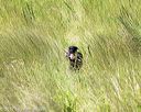 20170806-jhl-0879