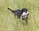 20170806-jhl-0974