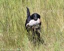 20170806-jhl-0979