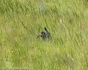 20170806-jhl-1000