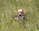 20170806-jhl-1027