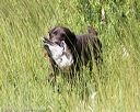 20170806-jhl-1073