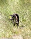 20170806-jhl-1097