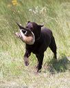 20170806-jhl-1108
