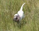 20170806-jhl-1117