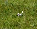 20170806-jhl-1140