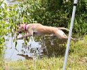 20170806-jhw-0305