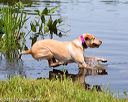 20170806-jhw-0334