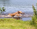 20170806-jhw-0390