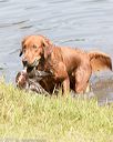 20170806-jhw-0436