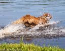 20170806-jhw-0536