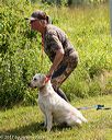 20170806-jhw-0548