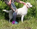 20170806-jhw-0561