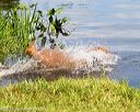 20170806-jhw-0607