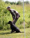 20170806-jhw-0636