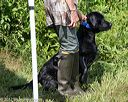 20170806-jhw-0768
