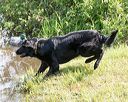 20170806-jhw-0796