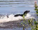 20170806-jhw-0832