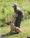 20170806-jhw-0858
