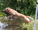 20170806-jhw-0860
