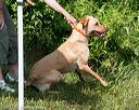 20170806-jhw-0883