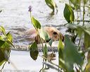 20170806-jhw-0898