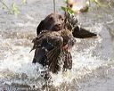 20170806-jhw-1053