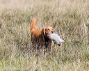 20171007-wcl-0004