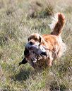 20171007-wcl-0020
