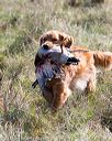 20171007-wcl-0022